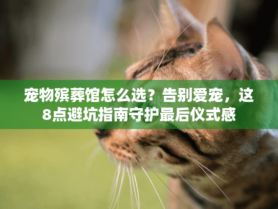宠物殡葬馆怎么选？告别爱宠，这8点避坑指南守护最后仪式感