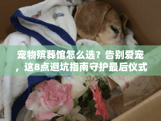 宠物殡葬馆怎么选？告别爱宠，这8点避坑指南守护最后仪式感