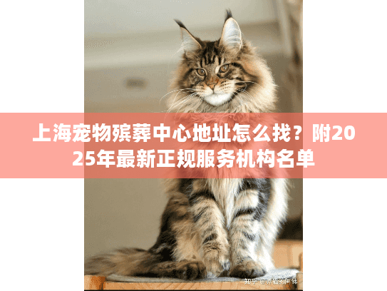 上海宠物殡葬中心地址怎么找？附2025年最新正规服务机构名单