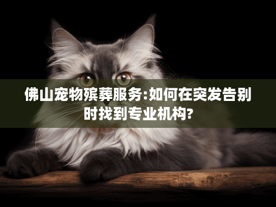 佛山宠物殡葬服务:如何在突发告别时找到专业机构?