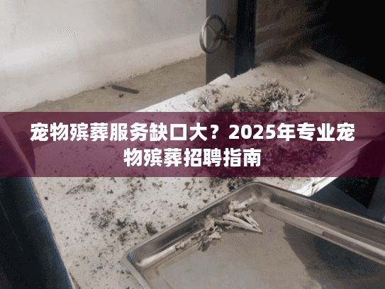 宠物殡葬服务缺口大？2025年专业宠物殡葬招聘指南