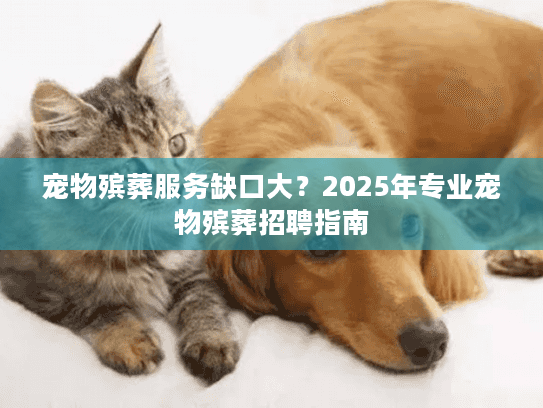 宠物殡葬服务缺口大？2025年专业宠物殡葬招聘指南