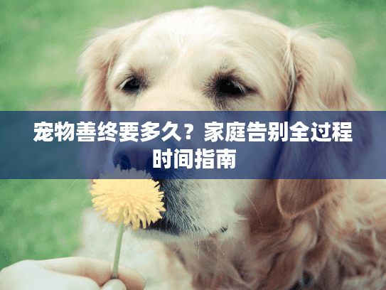 宠物善终要多久？家庭告别全过程时间指南