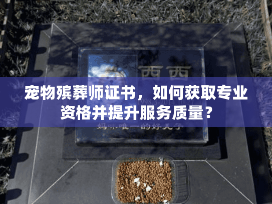 宠物殡葬师证书，如何获取专业资格并提升服务质量？