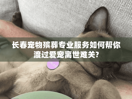 长春宠物殡葬专业服务如何帮你渡过爱宠离世难关?