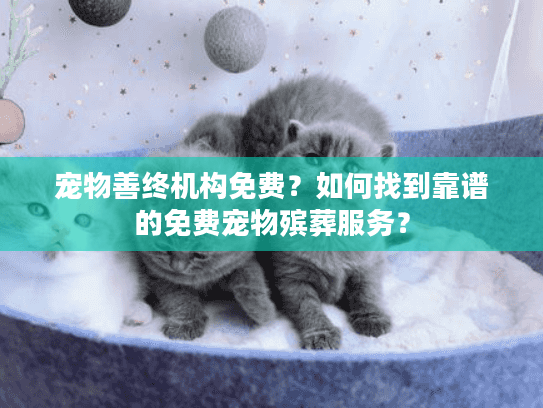 宠物善终机构免费？如何找到靠谱的免费宠物殡葬服务？