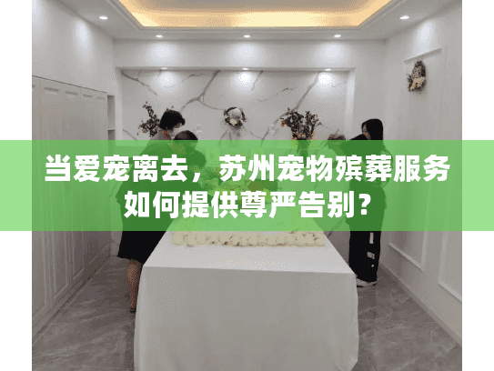 当爱宠离去，苏州宠物殡葬服务如何提供尊严告别？