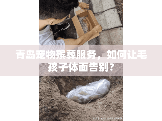 青岛宠物殡葬服务，如何让毛孩子体面告别？
