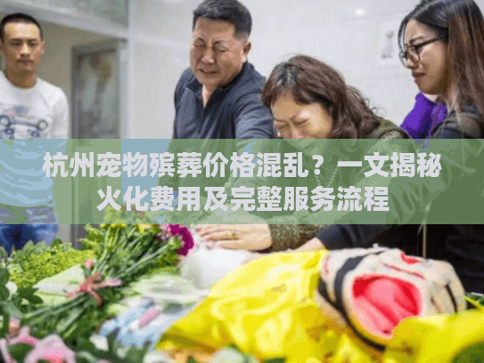 杭州宠物殡葬价格混乱？一文揭秘火化费用及完整服务流程