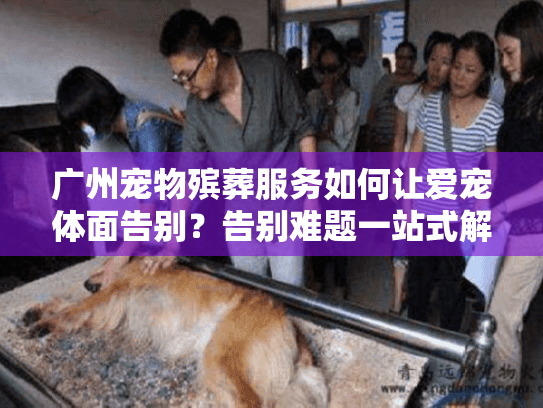 广州宠物殡葬服务如何让爱宠体面告别？告别难题一站式解决