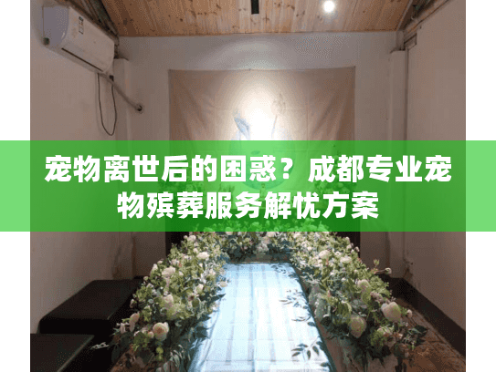 宠物离世后的困惑？成都专业宠物殡葬服务解忧方案