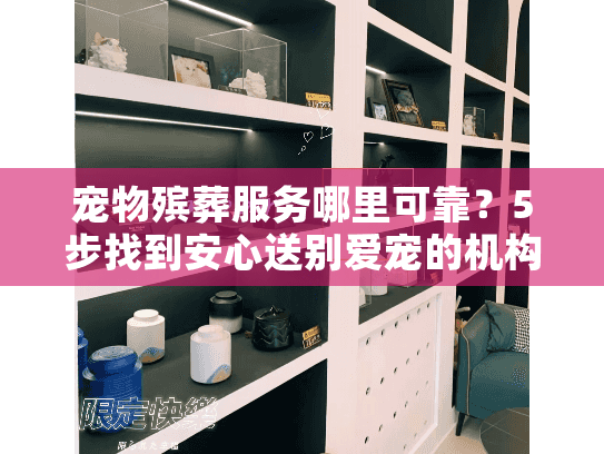 宠物殡葬服务哪里可靠？5步找到安心送别爱宠的机构
