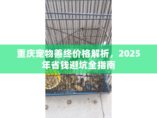 重庆宠物善终价格解析，2025年省钱避坑全指南