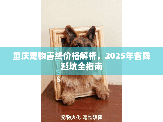 重庆宠物善终价格解析，2025年省钱避坑全指南