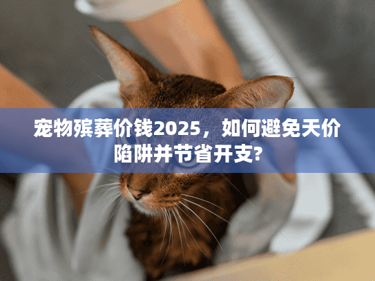 宠物殡葬价钱2025，如何避免天价陷阱并节省开支?