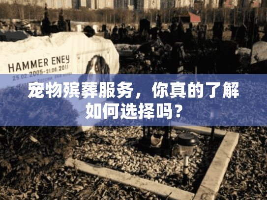 宠物殡葬服务，你真的了解如何选择吗？