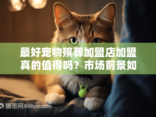 最好宠物殡葬加盟店加盟真的值得吗？市场前景如何？