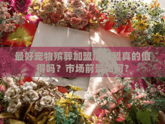最好宠物殡葬加盟店加盟真的值得吗？市场前景如何？