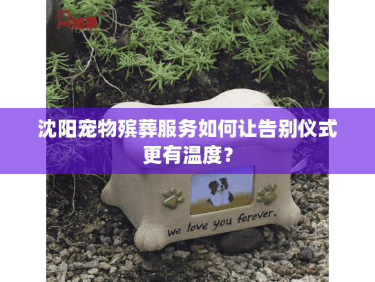 沈阳宠物殡葬服务如何让告别仪式更有温度？