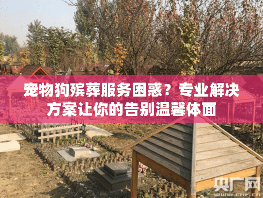 宠物狗殡葬服务困惑？专业解决方案让你的告别温馨体面