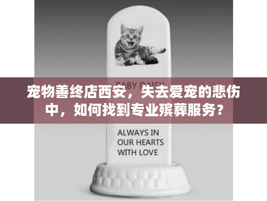 宠物善终店西安，失去爱宠的悲伤中，如何找到专业殡葬服务？