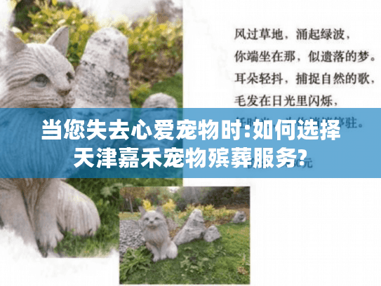 当您失去心爱宠物时:如何选择天津嘉禾宠物殡葬服务?