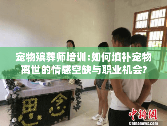 宠物殡葬师培训:如何填补宠物离世的情感空缺与职业机会?