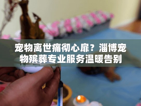宠物离世痛彻心扉？淄博宠物殡葬专业服务温暖告别
