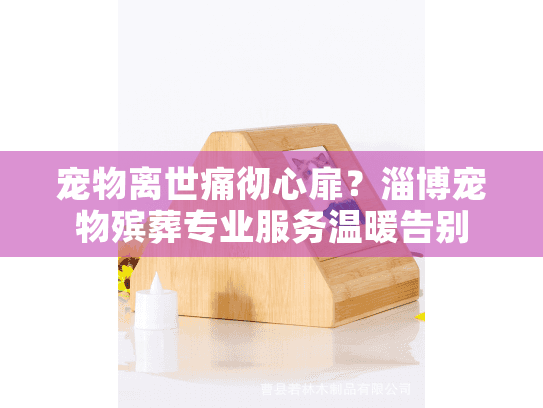 宠物离世痛彻心扉？淄博宠物殡葬专业服务温暖告别