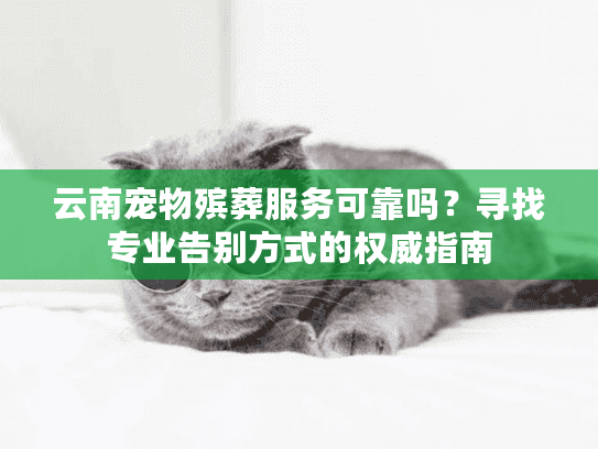 云南宠物殡葬服务可靠吗？寻找专业告别方式的权威指南