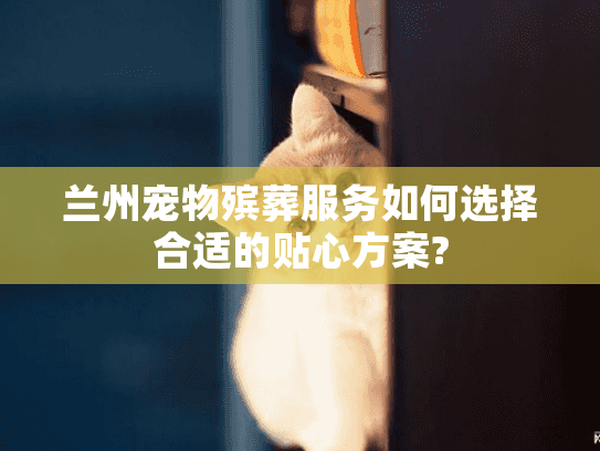 兰州宠物殡葬服务如何选择合适的贴心方案?