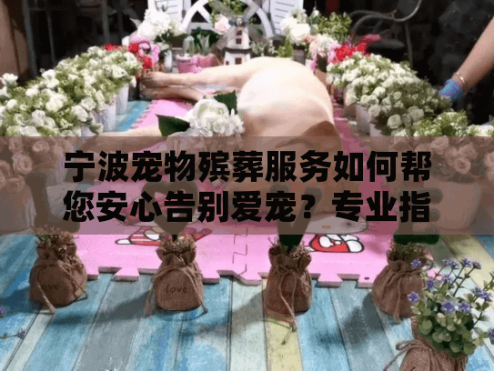 宁波宠物殡葬服务如何帮您安心告别爱宠？专业指南与真实选择