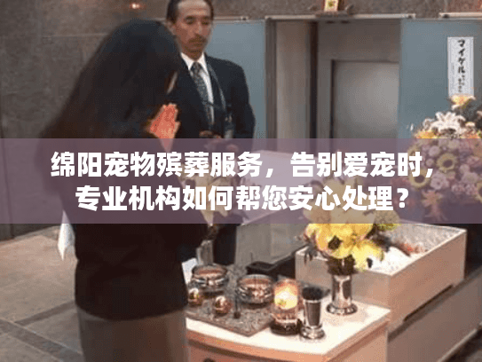 绵阳宠物殡葬服务，告别爱宠时，专业机构如何帮您安心处理？