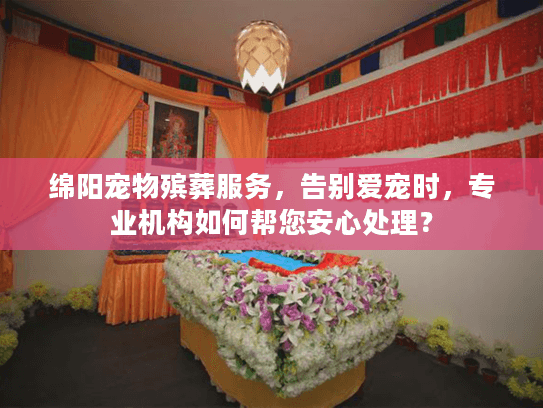 绵阳宠物殡葬服务，告别爱宠时，专业机构如何帮您安心处理？
