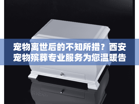 宠物离世后的不知所措？西安宠物殡葬专业服务为您温暖告别