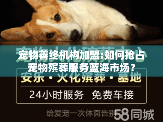 宠物善终机构加盟:如何抢占宠物殡葬服务蓝海市场？