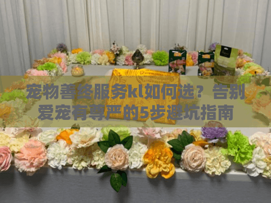 宠物善终服务kl如何选？告别爱宠有尊严的5步避坑指南