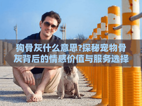 狗骨灰什么意思?探秘宠物骨灰背后的情感价值与服务选择指南