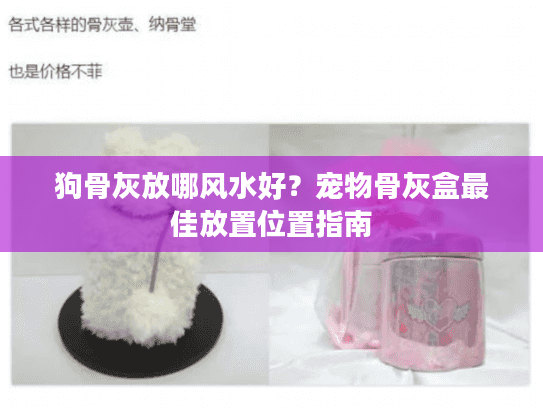 狗骨灰放哪风水好？宠物骨灰盒最佳放置位置指南