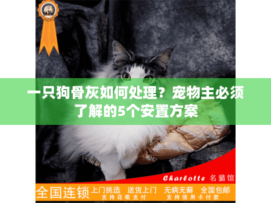 一只狗骨灰如何处理？宠物主必须了解的5个安置方案