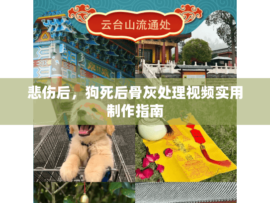悲伤后，狗死后骨灰处理视频实用制作指南