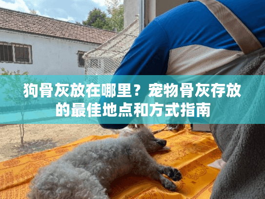 狗骨灰放在哪里？宠物骨灰存放的最佳地点和方式指南