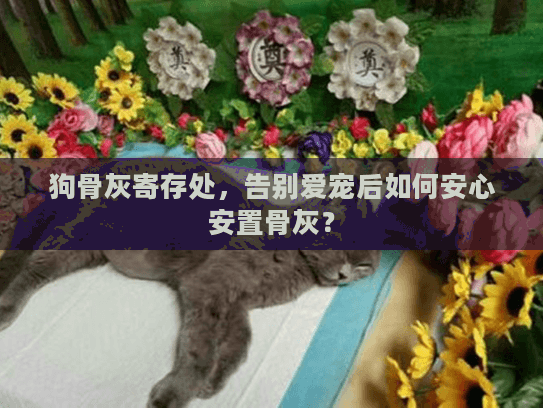 狗骨灰寄存处，告别爱宠后如何安心安置骨灰？