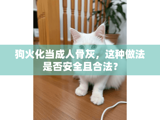 狗火化当成人骨灰，这种做法是否安全且合法？