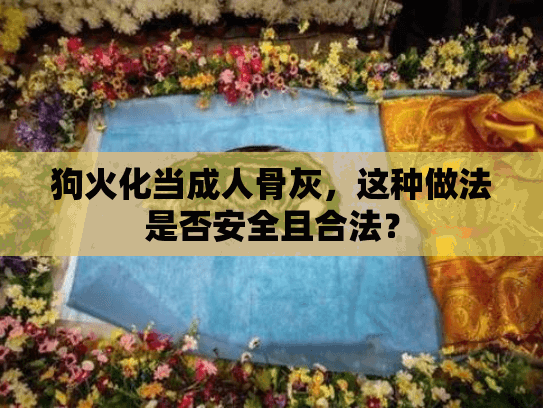 狗火化当成人骨灰，这种做法是否安全且合法？