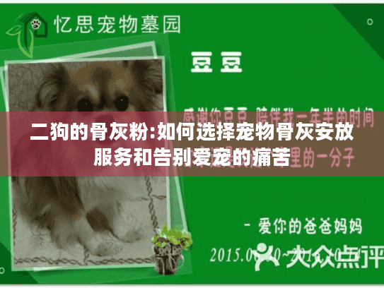 二狗的骨灰粉:如何选择宠物骨灰安放服务和告别爱宠的痛苦