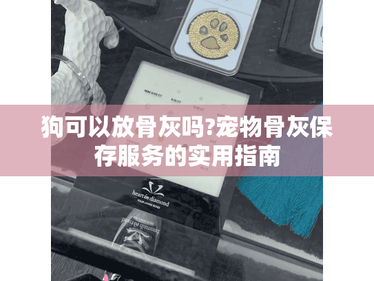 狗可以放骨灰吗?宠物骨灰保存服务的实用指南