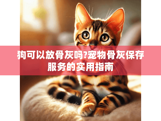 狗可以放骨灰吗?宠物骨灰保存服务的实用指南