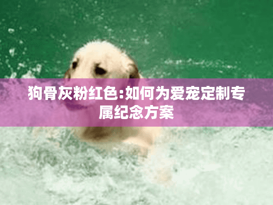 狗骨灰粉红色:如何为爱宠定制专属纪念方案