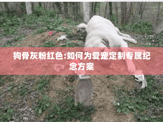 狗骨灰粉红色:如何为爱宠定制专属纪念方案